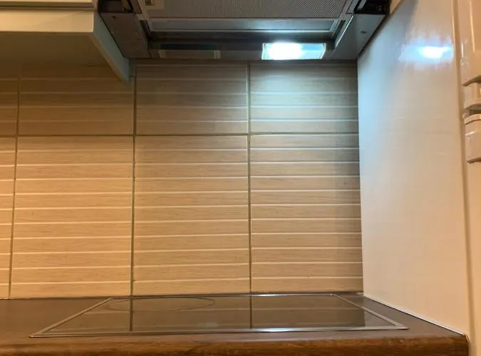 Apartment Modern Rustic House