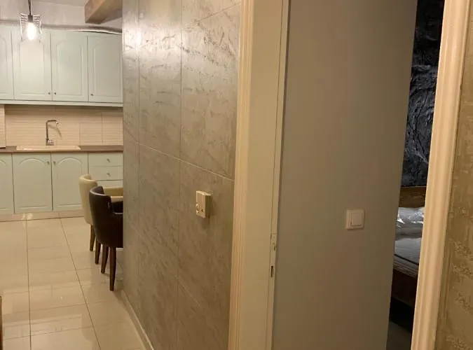 Apartment Modern Rustic House