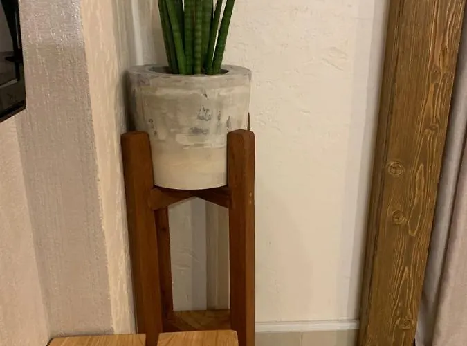 Apartment Modern Rustic House Kéfalos