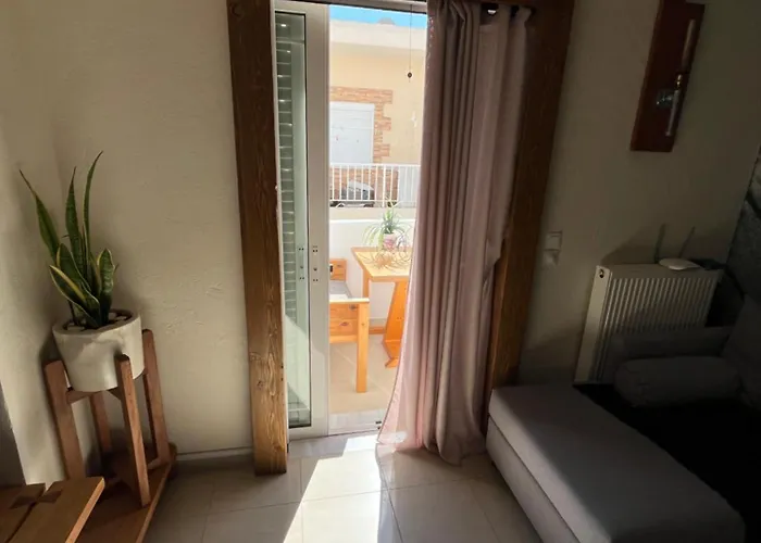 Modern Rustic House Apartment